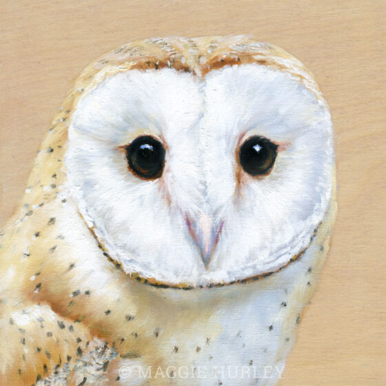 Another Barn Owl Bird Art Print On Wood Maggie Hurley