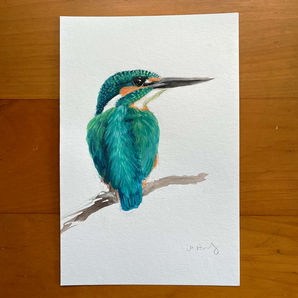 Kingfisher Coloured Water Pencil Drawing A4 Print Pencil Drawing