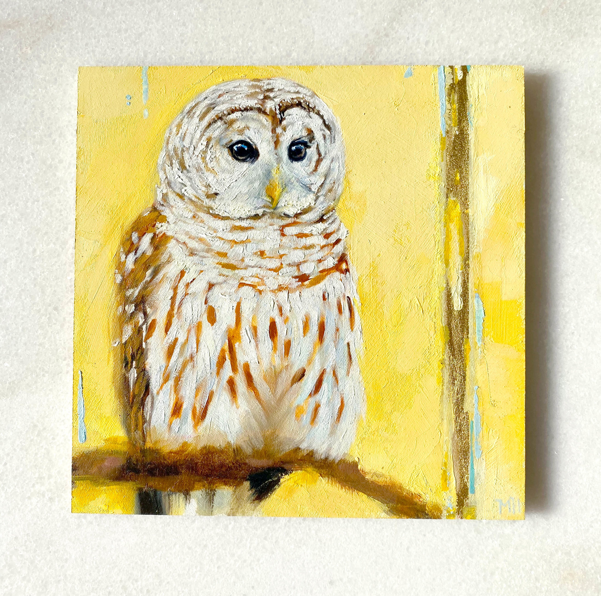 barred owl painting