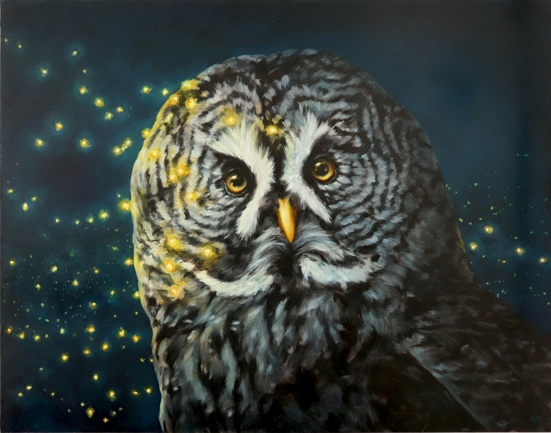 Great Gray Owl | 24